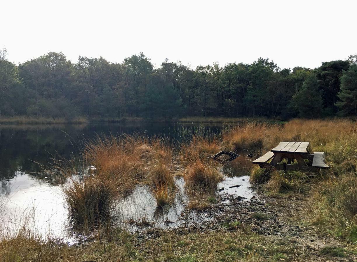 Vakantievilla Markant Balk 外观 照片